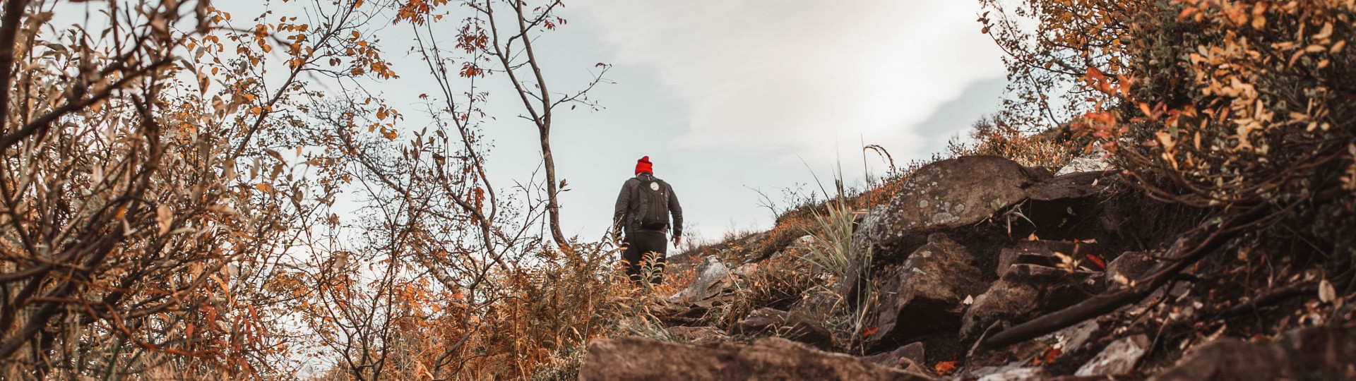 Vandrare fjällnatur