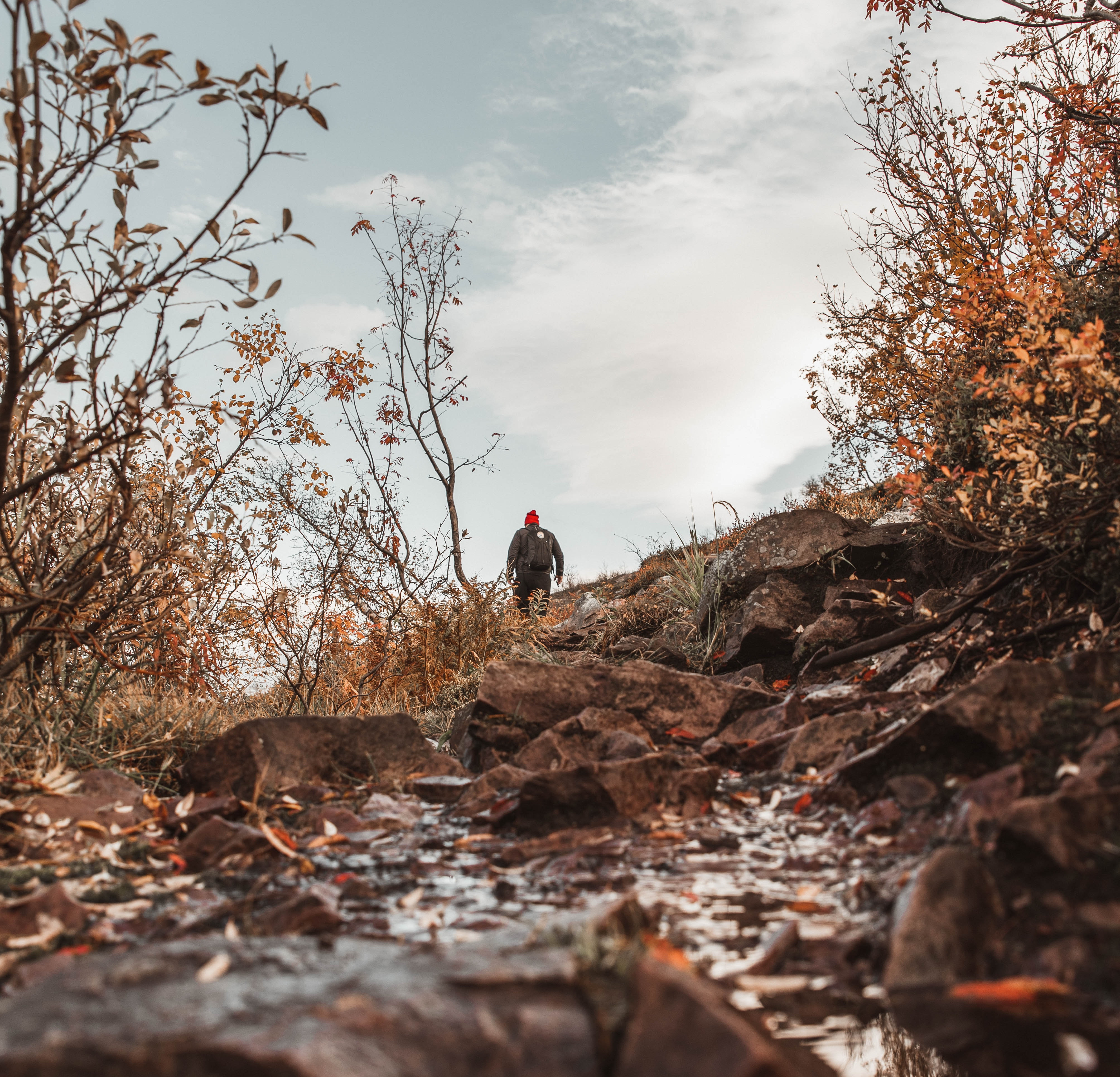 Vandrare fjällnatur