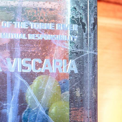 Viscaria_WTP_Inauguration_251022_2365_RGB