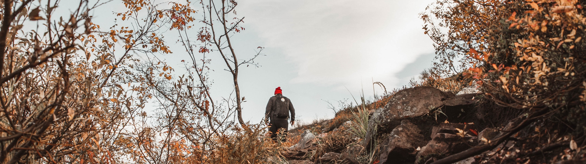 Vandrare fjällnatur