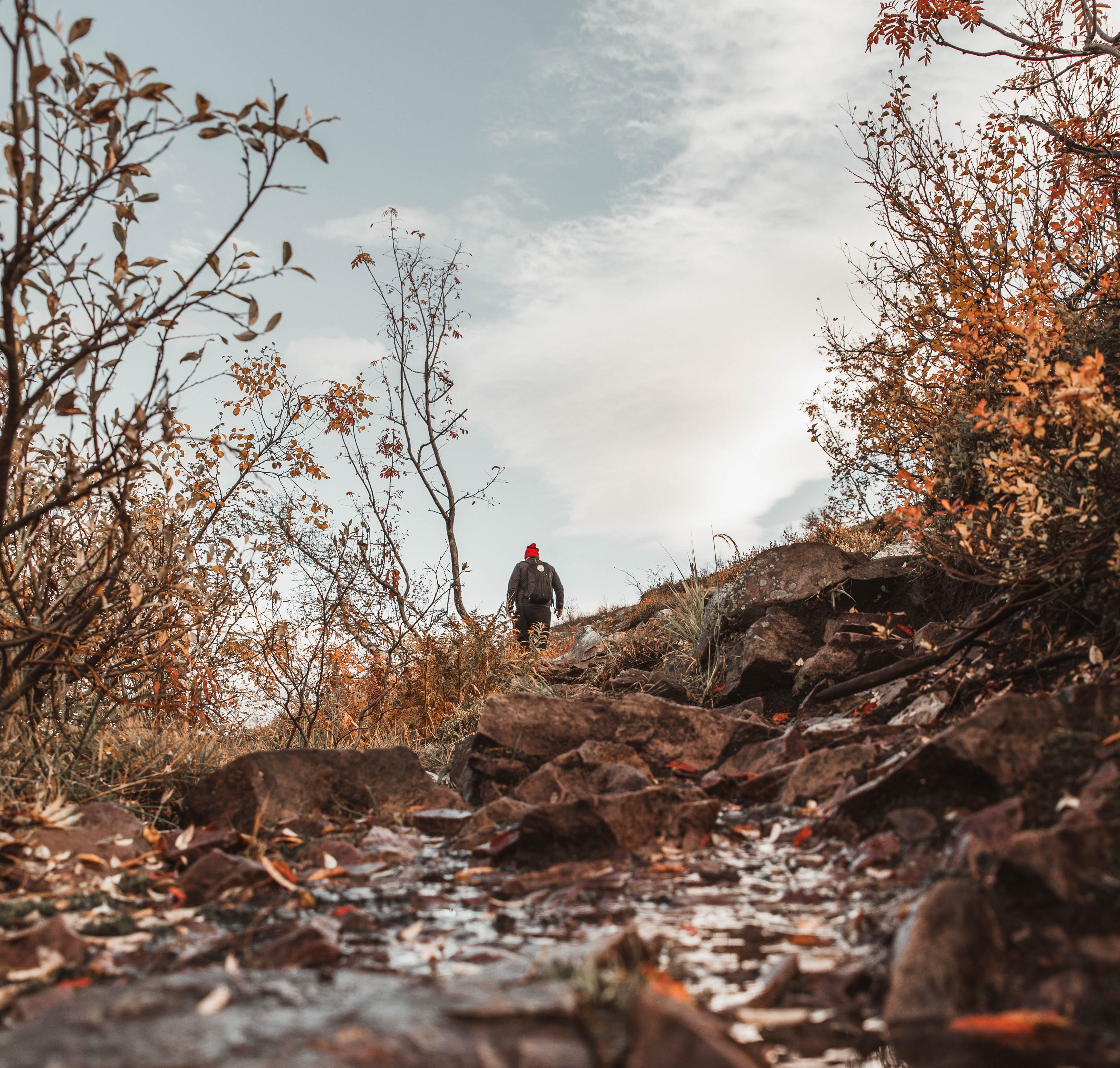 Vandrare fjällnatur